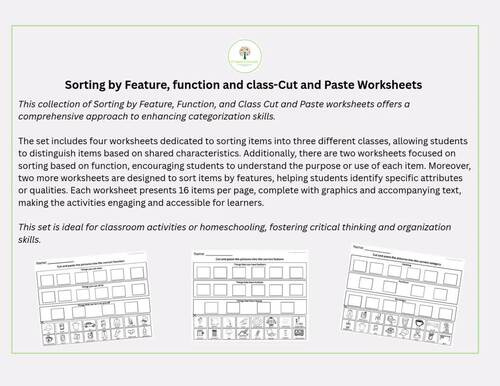 Sorting by feature, function and class Cut & Paste Worksheets -ABLLS-R ...