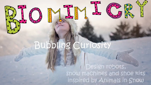 Preview of STEAM Biomimicry for Young Children - Animals in Snow