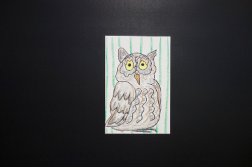 Preview of Let's Draw a Screech Owl!