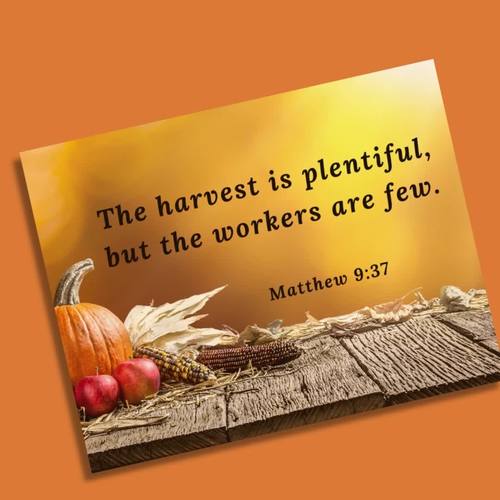 bible-memory-verse-activities-for-matthew-9-37-by-the-jillybean-jar