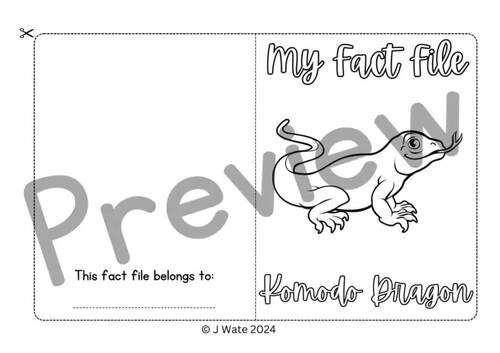 Reptile Research PROJECT | Writing Activity | Fact File Komodo Dragon