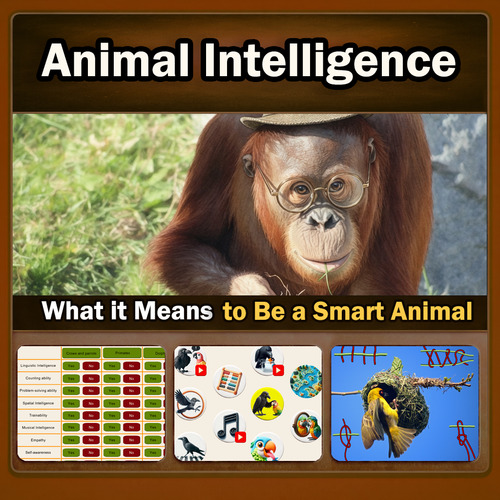 Preview of Animal Intelligence: Problem-Solving, Humor & Empathy – Interactive Lesson