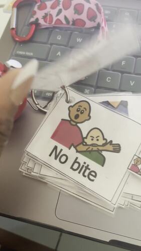 Communication Key Ring- English & Spanish Included! | TPT