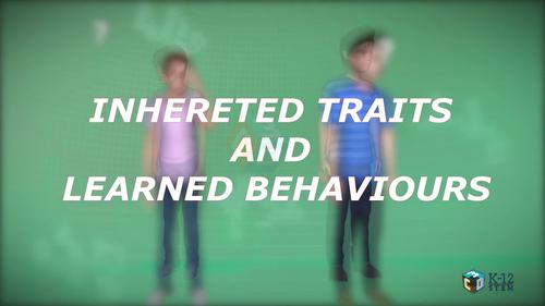 Preview of Inherited Traits and Learned Behaviors- High quality HD Animated Video