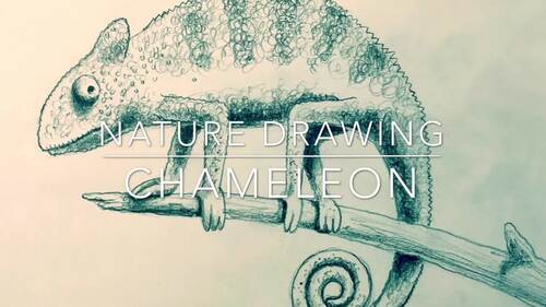 Preview of Pencil Drawing of Chameleon Video | Art Lesson 5 of 5 | Rick Tan | Waldorf