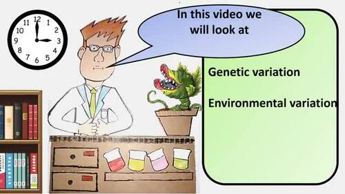 AP Biology Types of Variation Lesson & Activities | TPT