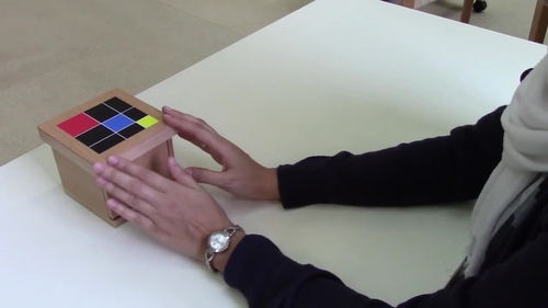 Preview of Montessori Trinomial Cube