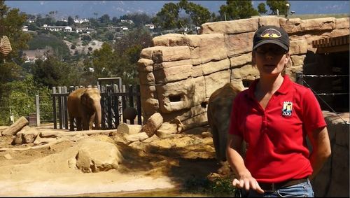 Preview of Animal Chat: Elephant Edition
