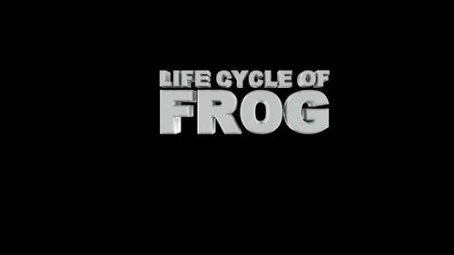 Life Cycle Of Frog High Quality Animated Video For Distance Learning
