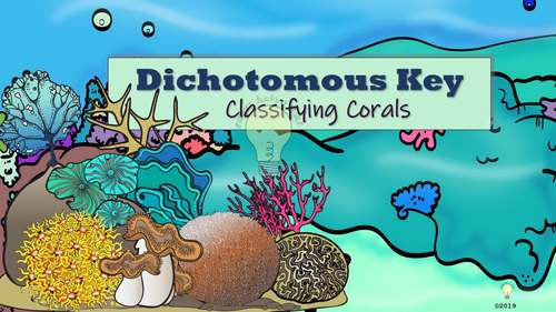 The Dichotomous Key of Corals with Guide How to Identify Marine