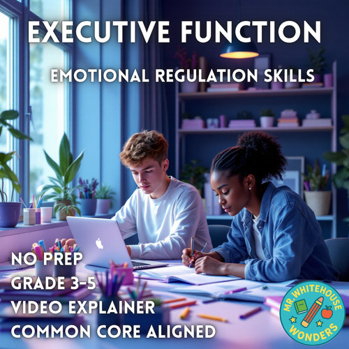 Executive Function | Emotional Regulation Skills | Video Explainer ...