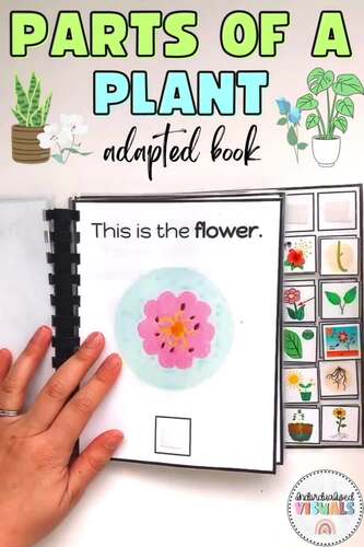 Parts of Plants Adapted Book & Labelling Plant Parts Worksheets!