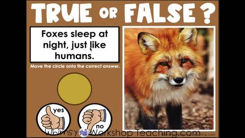 Google Slides™ Science True False Foxes Nonfiction Animal Facts | TPT
