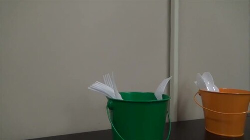 Video Model + Data Sheet - Roll Silverware by REEF Consulting LLC