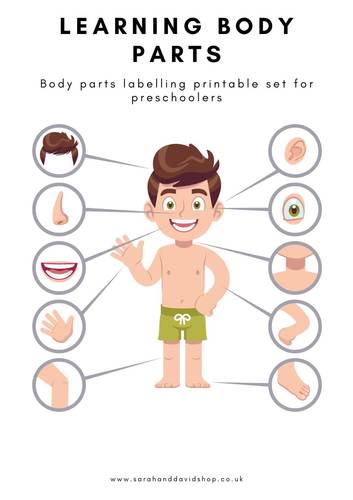 body parts preschool worksheets by sarahanddavidshop tpt