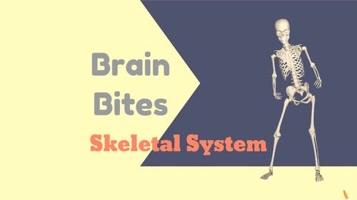 Brain Bites - Skeletal System by Literature Enhanced Physical Education