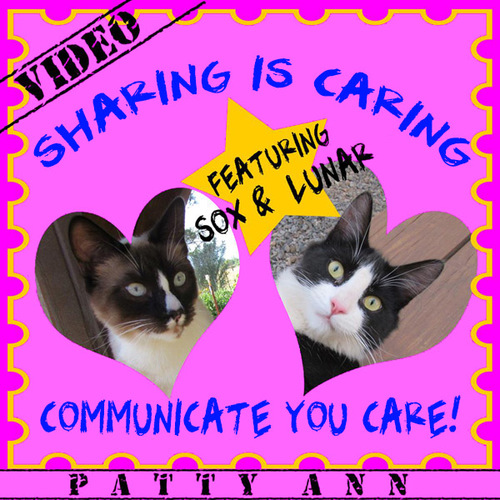 Preview of Communication Skills Create Teach Share Social Emotional Learning Cats Video Fun
