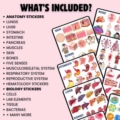 2000+ Anatomy ＆ Biology Digital Stickers | Nursing ＆ Medical Study Clipart