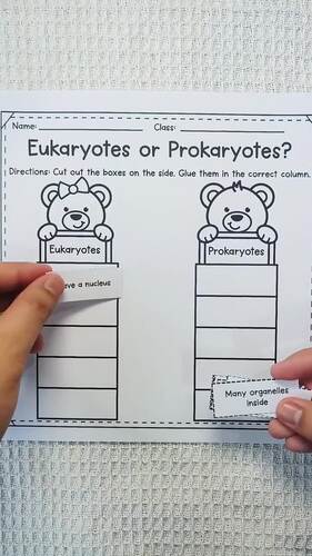 Eukaryotes or Prokaryotes? – Cut and Paste Sorting Activity | TPT