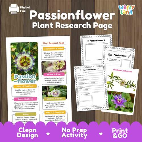 Passionflower Plant Research Page | Tropical Fruit Life Cycle | Science ...