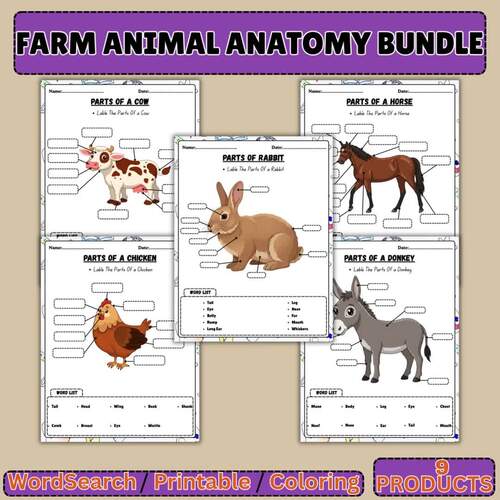 Farm Animal Anatomy Worksheets Bundle | Donkey, Chicken, Rabbit, Horse ...