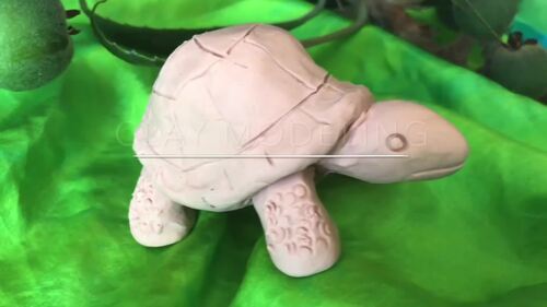 Preview of Clay Modeling of Tortoise Video | Art Lesson 5 of 5 | Rick Tan | Waldorf