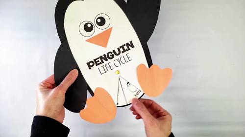 Penguin Life Cycle Craft By Stephanie Trapp Teachers Pay Teachers