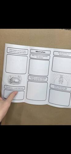 Animal Behavior BUNDLE brochure craft 3rd grade reading migration ...