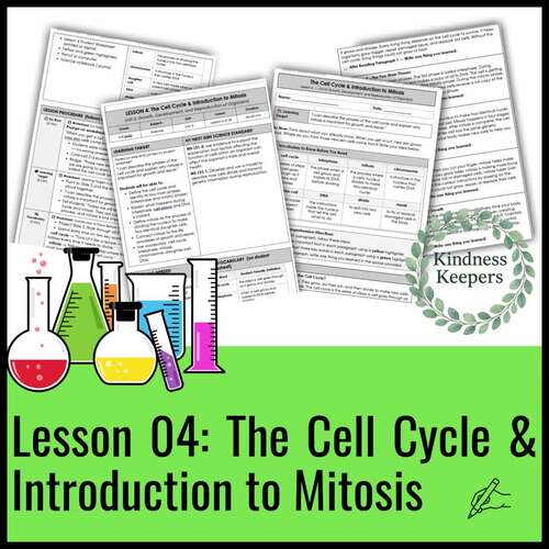 Lesson 04: Cell Cycle & Mitosis Lesson | Middle School Science (Grades 6–8)