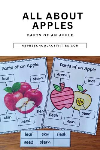 All About Apples - Science, Literacy & Math