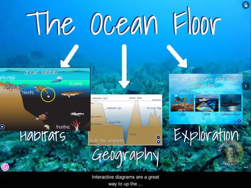Ocean habitats and floor Webquest Activity | Interactive Digital Diagram