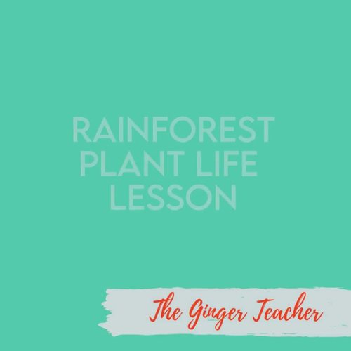Rainforest Plants Lesson by The Ginger Teacher | TPT