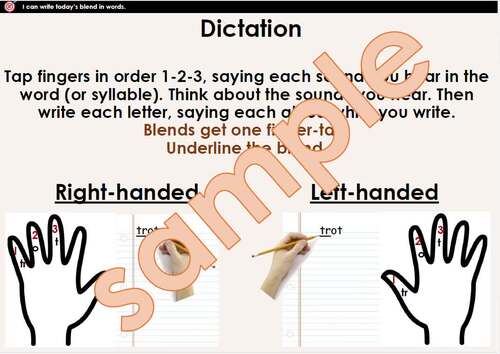 Phonics Course Lesson Set 2 (Blends, FLOSS & Open/Closed Syllables)