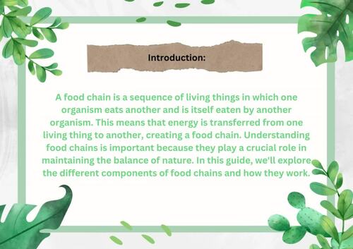 Exploring Food Chains: Understanding How Living Things Interact "Food ... Biology Diagrams