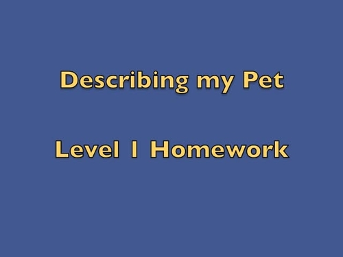 Preview of BSL Level 1 DESCRIBING MY PET HOMEWORK