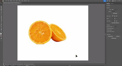 Adobe Illustrator 2025 Multiple Choice Certification Practice | TPT