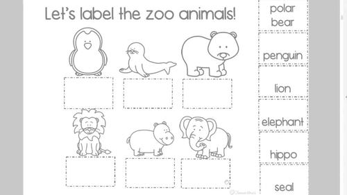 zoo animals digital and print fun activities editable slides included