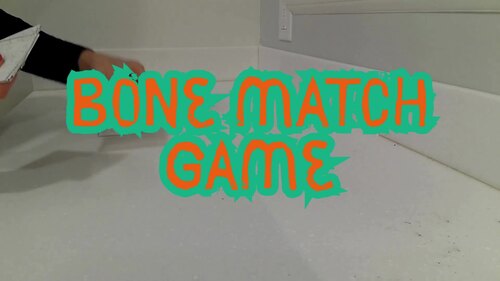 Bone Match Card Game: Middle School Anatomy Science Health No Prep ...