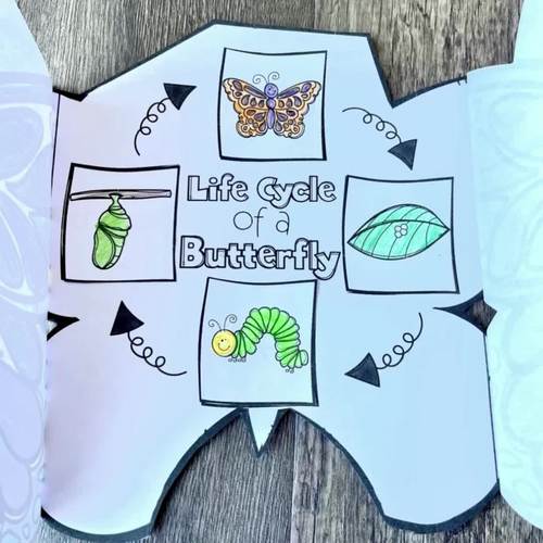 All About Insects Printables Activities Unit Kindergarten | Bug Activities