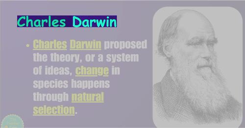 Natural Selection Notes and PowerPoint Slides Unit Bundle | Life Science