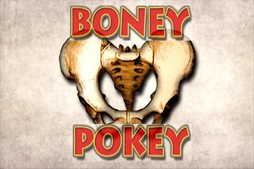Preview of The Boney Pokey Dance