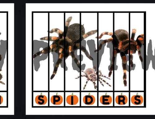 Halloween Puzzles by PreK Paws | TPT