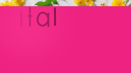 Place Value for Google Slides Math BUNDLE