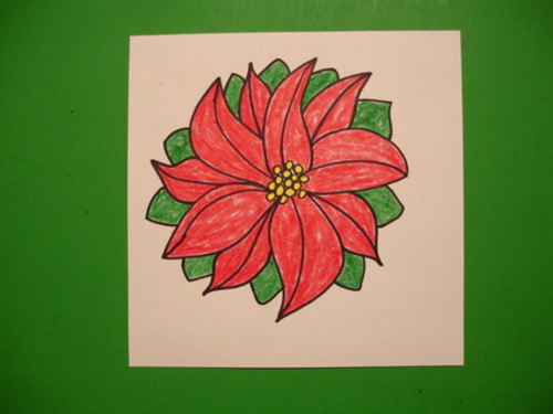 poinsettia drawing easy step by step