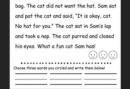 16 Decodable Passages | CVC, Digraphs, & CVCe | Phonics, Fluency, RTI