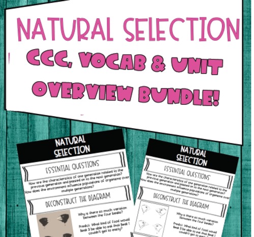 Preview of Natural Selection Crosscutting Concepts, Vocab + Unit Overview Bundle