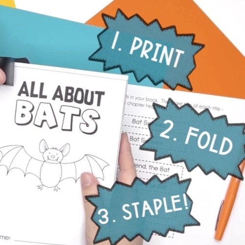 Interactive Reading Comprehension Books by Fishyrobb | TPT