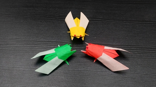 Preview of Make an Easy Origami Cicada - Video