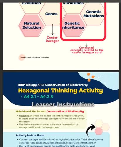 Hexagonal Thinking Activity | IBDP Biology A4.2 Conservation of ...