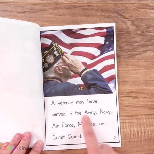 Veterans day substitute meaning usa